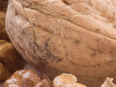Buenas Prácticas Agrícolas para la producción de Nuez de Nogal