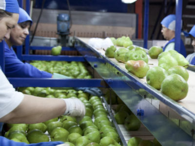 Buenas Prácticas de Manufactura (BPM) en la Industria Alimentaria
