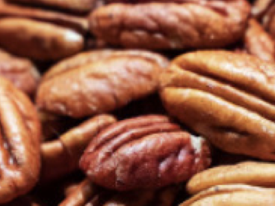 Buenas Prácticas Agrícolas para la producción de Pecan