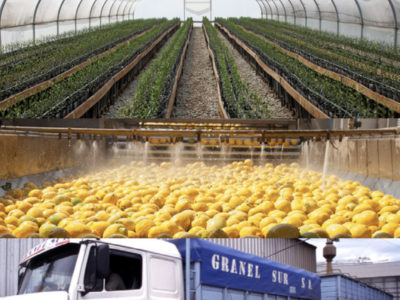 Trazabilidad en la Industria Alimentaria