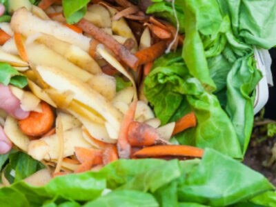Introducción a la Pérdida y el Desperdicio de Alimentos: De los conceptos a la práctica